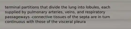 terminal partitions that divide the lung into lobules, each supplied by pulmonary arteries, veins, and respiratory passageways -connective tissues of the septa are in turn continuous with those of the visceral pleura