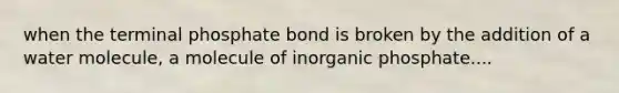 when the terminal phosphate bond is broken by the addition of a water molecule, a molecule of inorganic phosphate....