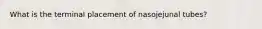 What is the terminal placement of nasojejunal tubes?