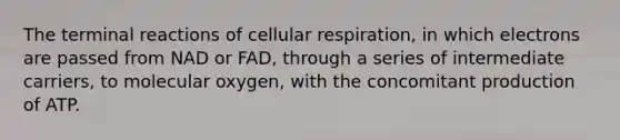 The terminal reactions of cellular respiration, in which electrons are passed from NAD or FAD, through a series of intermediate carriers, to molecular oxygen, with the concomitant production of ATP.