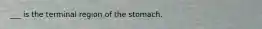 ___ is the terminal region of the stomach.