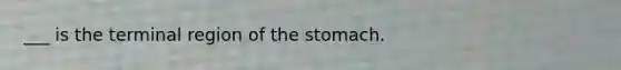 ___ is the terminal region of the stomach.