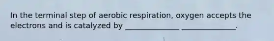 In the terminal step of aerobic respiration, oxygen accepts the electrons and is catalyzed by ______________ ______________.