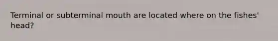 Terminal or subterminal mouth are located where on the fishes' head?