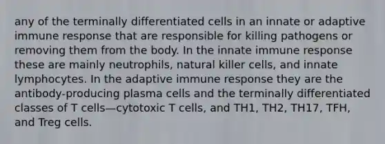 any of the terminally differentiated cells in an innate or adaptive immune response that are responsible for killing pathogens or removing them from the body. In the innate immune response these are mainly neutrophils, natural killer cells, and innate lymphocytes. In the adaptive immune response they are the antibody-producing plasma cells and the terminally differentiated classes of T cells—cytotoxic T cells, and TH1, TH2, TH17, TFH, and Treg cells.