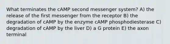 What terminates the cAMP second messenger system? A) the release of the first messenger from the receptor B) the degradation of cAMP by the enzyme cAMP phosphodiesterase C) degradation of cAMP by the liver D) a G protein E) the axon terminal