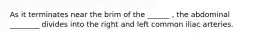 As it terminates near the brim of the ______ , the abdominal ________ divides into the right and left common iliac arteries.