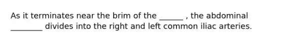 As it terminates near the brim of the ______ , the abdominal ________ divides into the right and left common iliac arteries.
