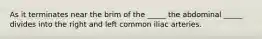 As it terminates near the brim of the _____ the abdominal _____ divides into the right and left common iliac arteries.