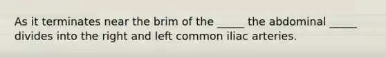 As it terminates near the brim of the _____ the abdominal _____ divides into the right and left common iliac arteries.