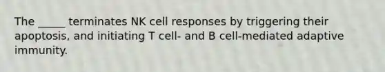 The _____ terminates NK cell responses by triggering their apoptosis, and initiating T cell- and B cell-mediated adaptive immunity.