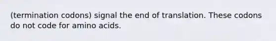 (termination codons) signal the end of translation. These codons do not code for amino acids.