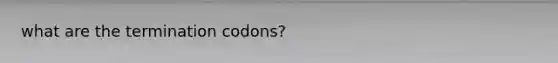 what are the termination codons?