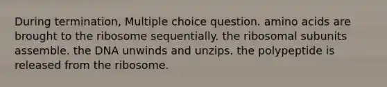 During termination, Multiple choice question. amino acids are brought to the ribosome sequentially. the ribosomal subunits assemble. the DNA unwinds and unzips. the polypeptide is released from the ribosome.