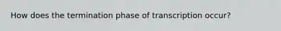 How does the termination phase of transcription occur?