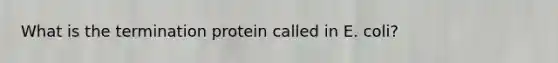 What is the termination protein called in E. coli?