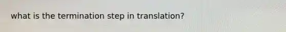 what is the termination step in translation?