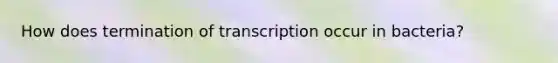 How does termination of transcription occur in bacteria?