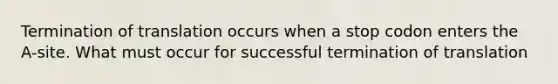 Termination of translation occurs when a stop codon enters the A-site. What must occur for successful termination of translation