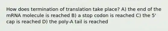 How does termination of translation take place? A) the end of the mRNA molecule is reached B) a stop codon is reached C) the 5' cap is reached D) the poly-A tail is reached