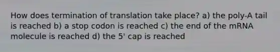 How does termination of translation take place? a) the poly-A tail is reached b) a stop codon is reached c) the end of the mRNA molecule is reached d) the 5' cap is reached