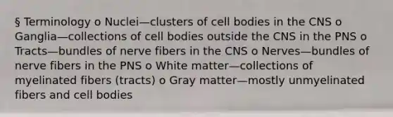 § Terminology o Nuclei—clusters of cell bodies in the CNS o Ganglia—collections of cell bodies outside the CNS in the PNS o Tracts—bundles of nerve fibers in the CNS o Nerves—bundles of nerve fibers in the PNS o White matter—collections of myelinated fibers (tracts) o Gray matter—mostly unmyelinated fibers and cell bodies