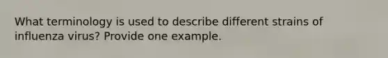 What terminology is used to describe different strains of influenza virus? Provide one example.