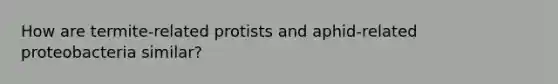 How are termite-related protists and aphid-related proteobacteria similar?