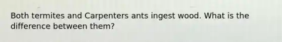 Both termites and Carpenters ants ingest wood. What is the difference between them?