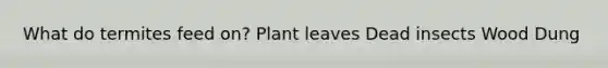 What do termites feed on? Plant leaves Dead insects Wood Dung