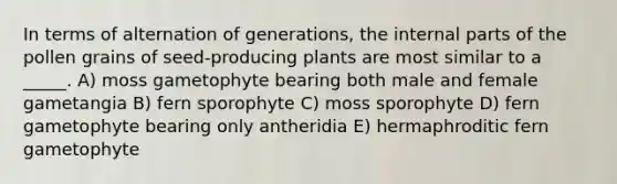 In terms of alternation of generations, the internal parts of the pollen grains of seed-producing plants are most similar to a _____. A) moss gametophyte bearing both male and female gametangia B) fern sporophyte C) moss sporophyte D) fern gametophyte bearing only antheridia E) hermaphroditic fern gametophyte