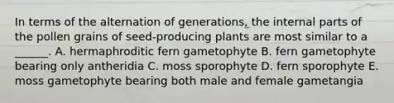 In terms of the alternation of generations, the internal parts of the pollen grains of seed-producing plants are most similar to a ______. A. hermaphroditic fern gametophyte B. fern gametophyte bearing only antheridia C. moss sporophyte D. fern sporophyte E. moss gametophyte bearing both male and female gametangia