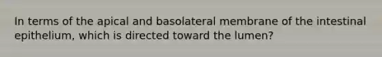 In terms of the apical and basolateral membrane of the intestinal epithelium, which is directed toward the lumen?