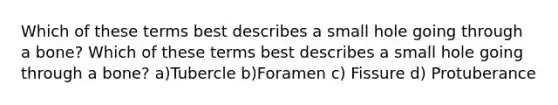 Which of these terms best describes a small hole going through a bone? Which of these terms best describes a small hole going through a bone? a)Tubercle b)Foramen c) Fissure d) Protuberance