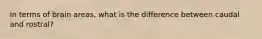 In terms of brain areas, what is the difference between caudal and rostral?