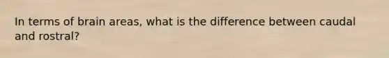 In terms of brain areas, what is the difference between caudal and rostral?