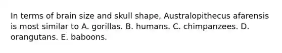 In terms of brain size and skull shape, Australopithecus afarensis is most similar to A. gorillas. B. humans. C. chimpanzees. D. orangutans. E. baboons.