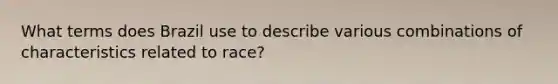 What terms does Brazil use to describe various combinations of characteristics related to race?