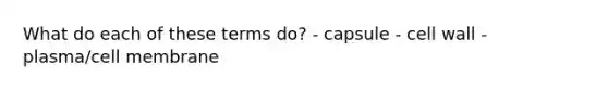 What do each of these terms do? - capsule - cell wall - plasma/cell membrane