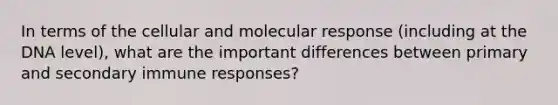 In terms of the cellular and molecular response (including at the DNA level), what are the important differences between primary and secondary immune responses?