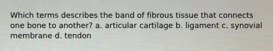 Which terms describes the band of fibrous tissue that connects one bone to another? a. articular cartilage b. ligament c. synovial membrane d. tendon