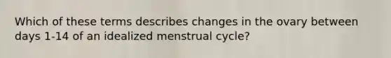 Which of these terms describes changes in the ovary between days 1-14 of an idealized menstrual cycle?