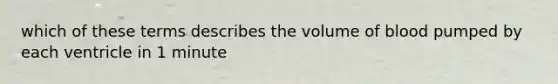 which of these terms describes the volume of blood pumped by each ventricle in 1 minute