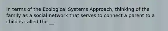 In terms of the Ecological Systems Approach, thinking of the family as a social-network that serves to connect a parent to a child is called the __.