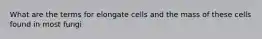 What are the terms for elongate cells and the mass of these cells found in most fungi