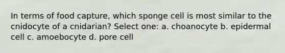 In terms of food capture, which sponge cell is most similar to the cnidocyte of a cnidarian? Select one: a. choanocyte b. epidermal cell c. amoebocyte d. pore cell