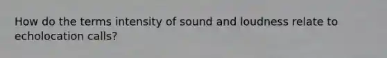 How do the terms intensity of sound and loudness relate to echolocation calls?