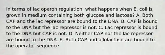 In terms of lac operon regulation, what happens when E. coli is grown in medium containing both glucose and lactose? A. Both CAP and the lac repressor are bound to the DNA. B. CAP is bound to the DNA but the lac repressor is not. C. Lac repressor is bound to the DNA but CAP is not. D. Neither CAP nor the lac repressor are bound to the DNA. E. Both CAP and allolactose are bound to the operator sequence