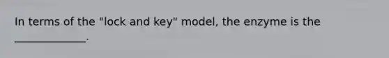 In terms of the "lock and key" model, the enzyme is the _____________.