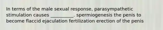 In terms of the male sexual response, parasympathetic stimulation causes __________. spermiogenesis the penis to become flaccid ejaculation fertilization erection of the penis